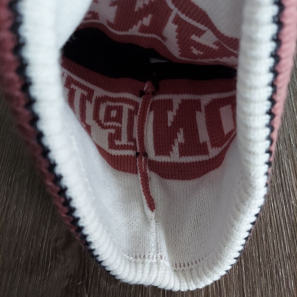 Victoria's Secret Pink Nation Pom Pom Beanie - Picture 2 of 4